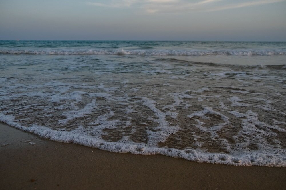 Фото The Orangers Garden