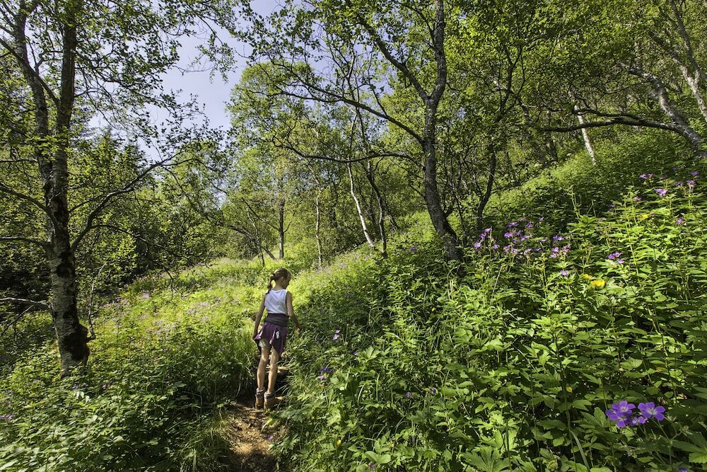 Фото Гостиница Klaustur