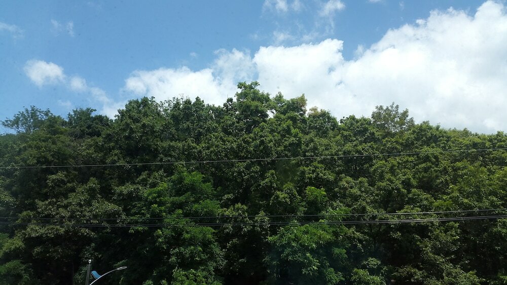 Фото Saipan Motel with Sea View