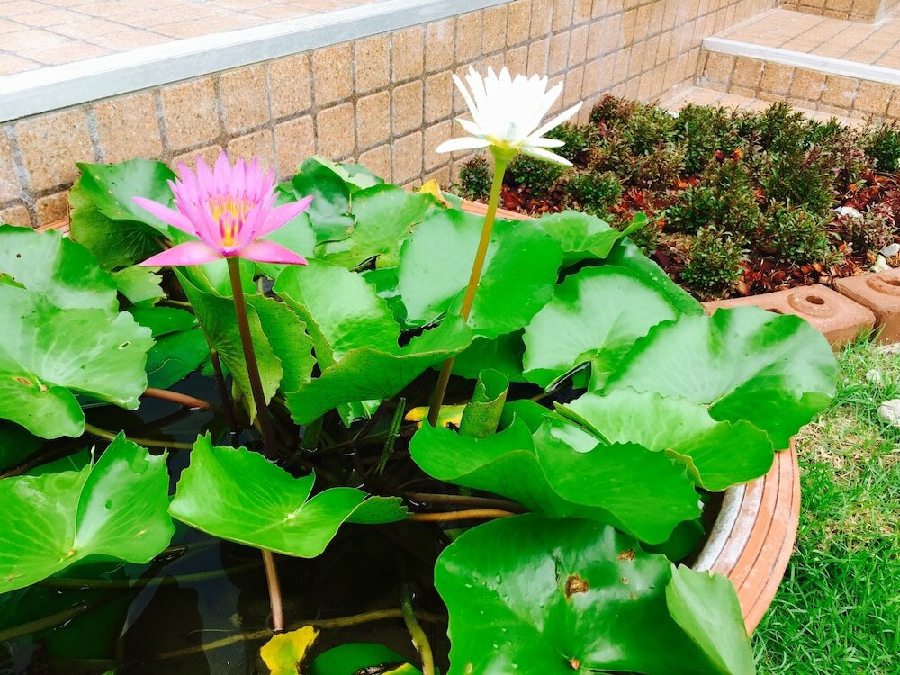 Фото Mondara Vacation Home