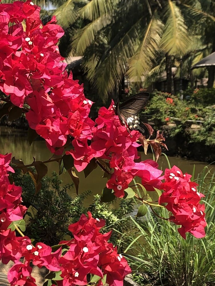 Фото Resort Primo Bom Terra Verde