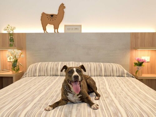 Внешний вид отеля Hotel ABC в Червии, фото 5