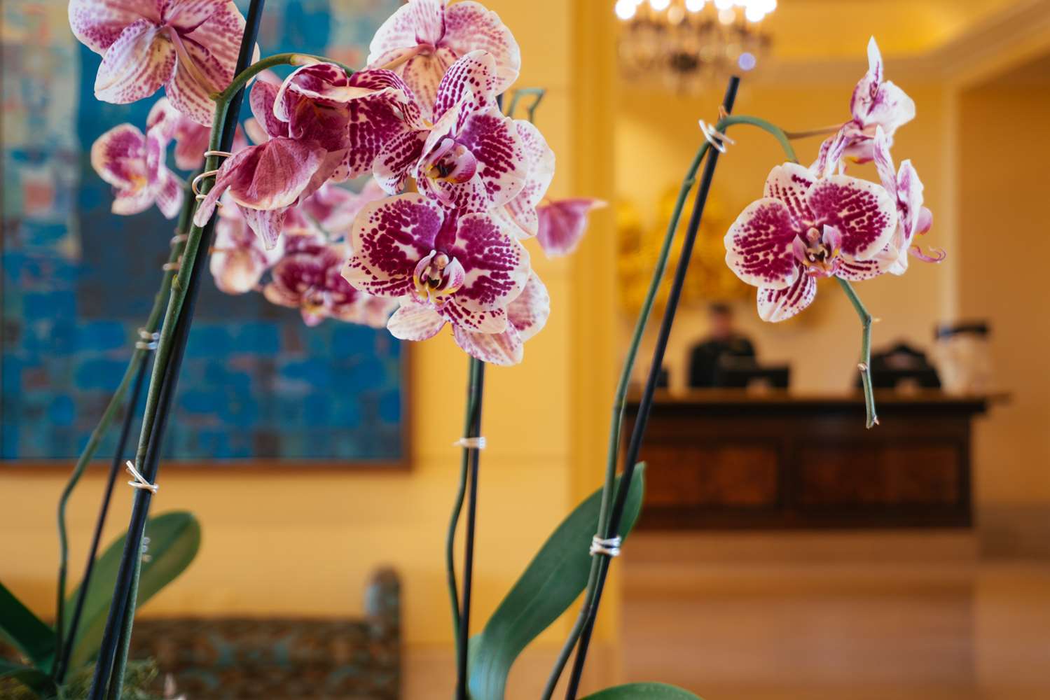 Фото Hilton Lake Las Vegas Resort and SPA