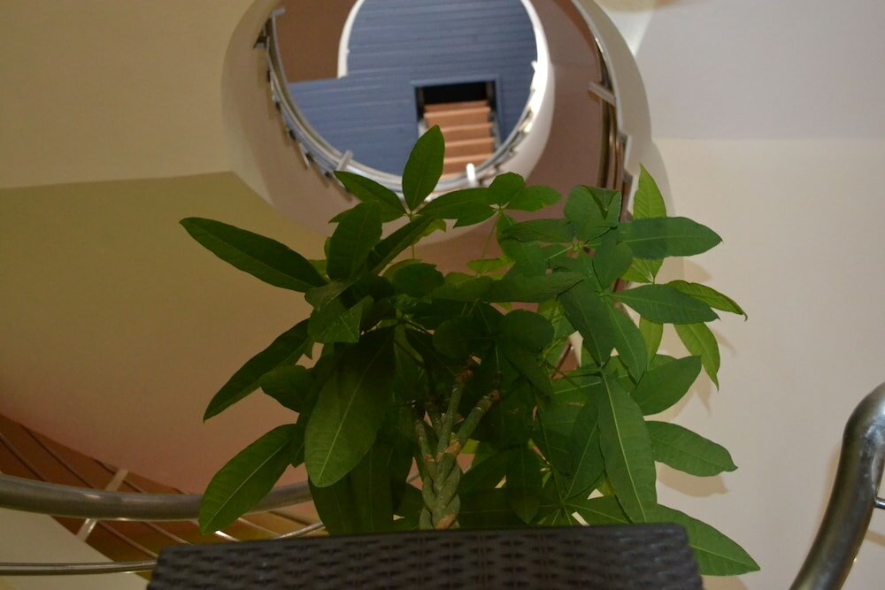 Фото Greenwood hotel