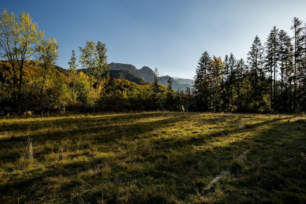 Фото Biała Owca