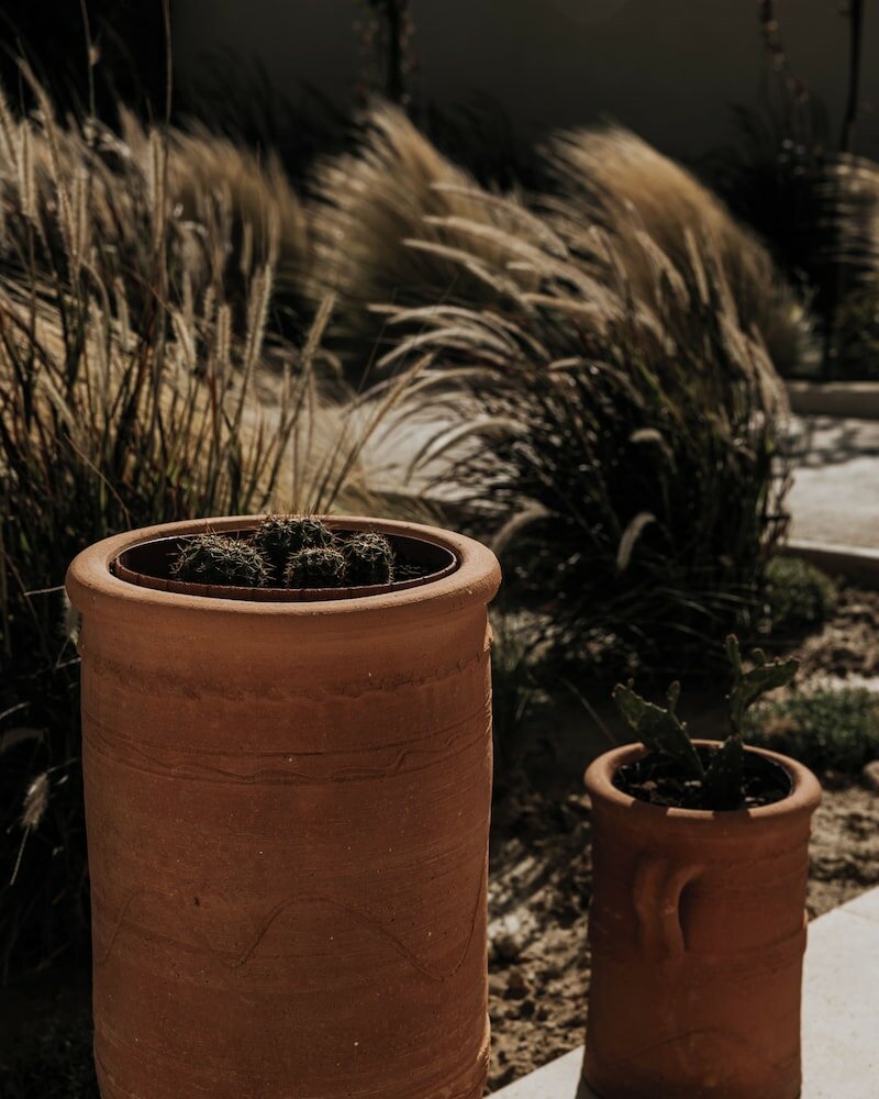 Фото Aménte Mindful Stay