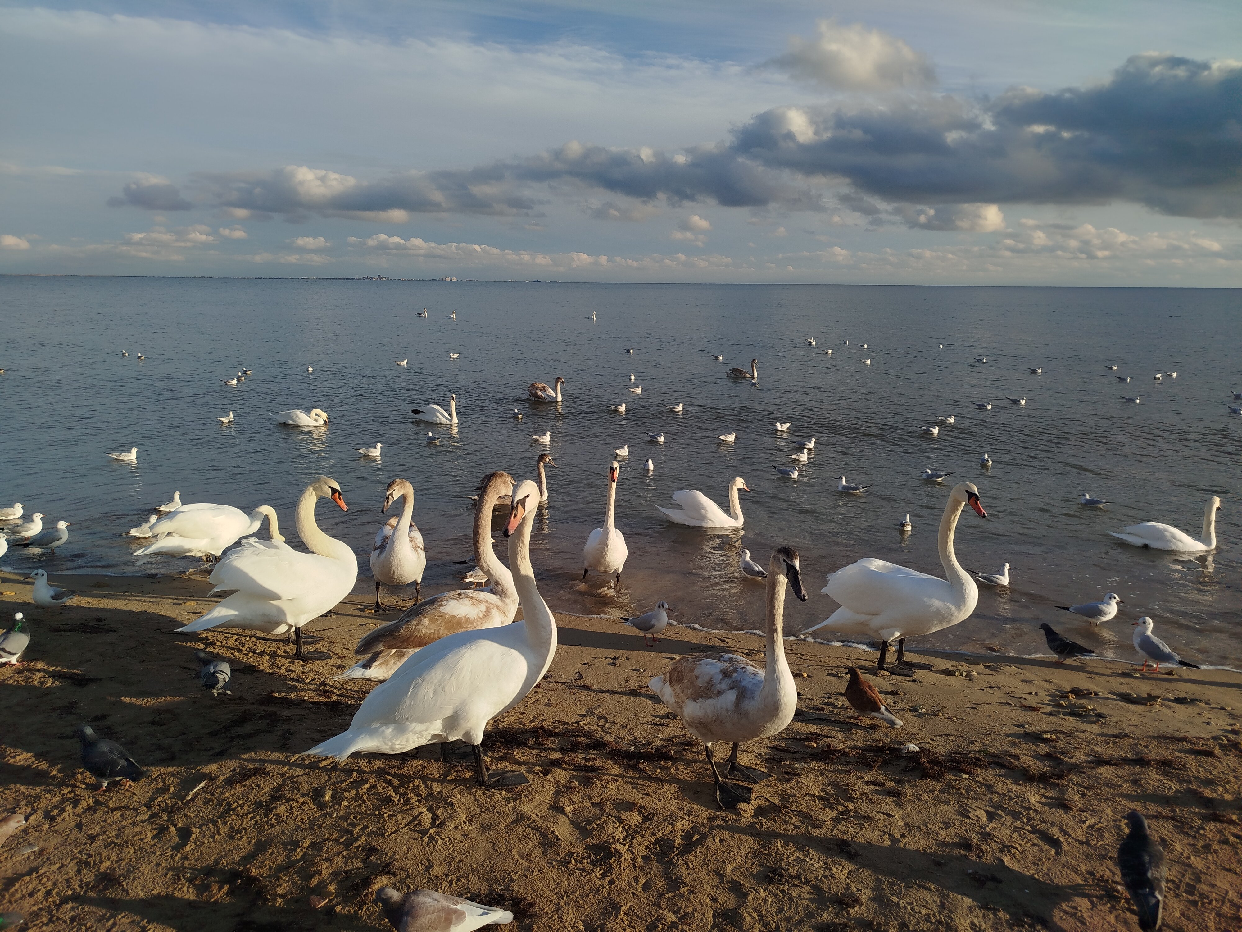 Фото Евпатория