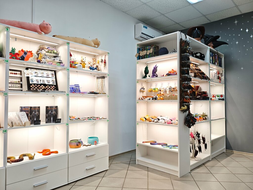 Gift and souvenir shop White Ferret, Voronezh, photo
