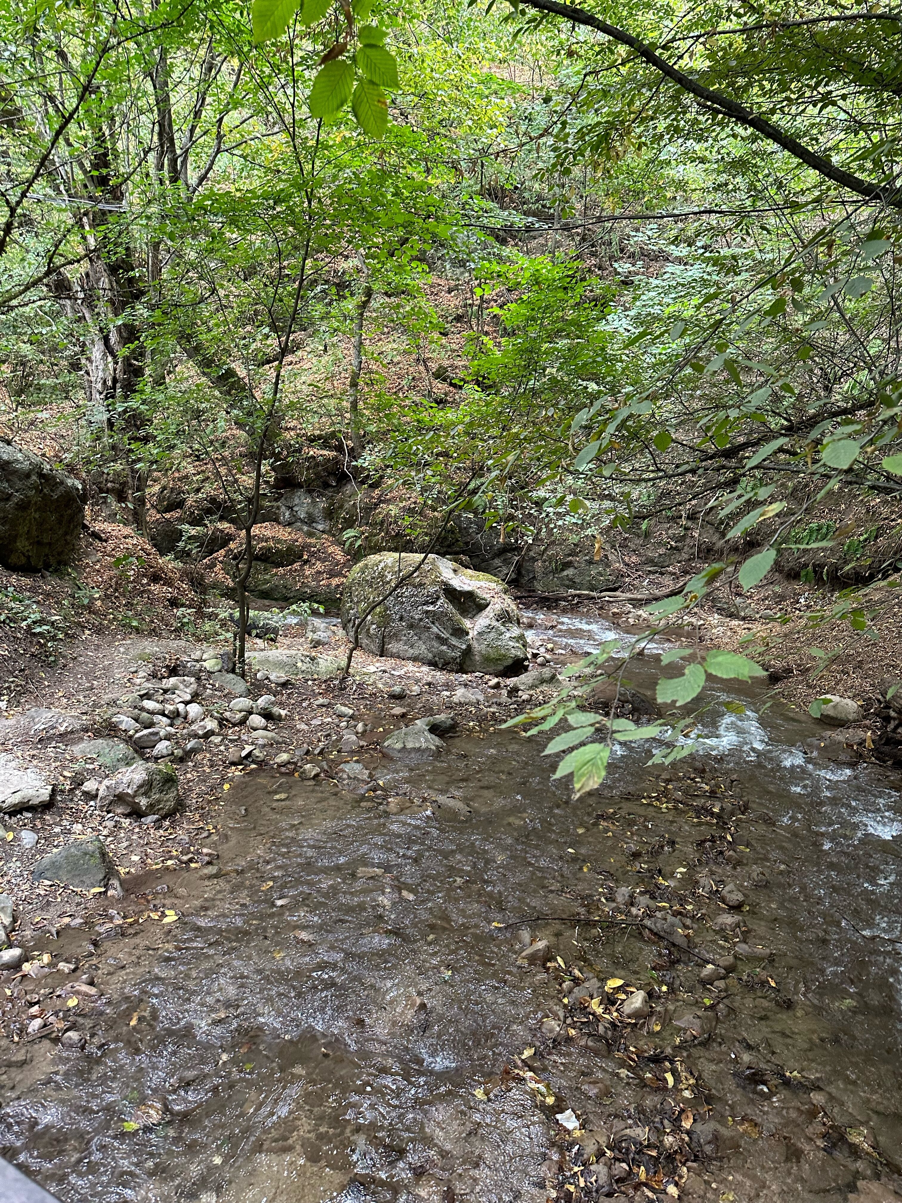 Фото Дилиджазз