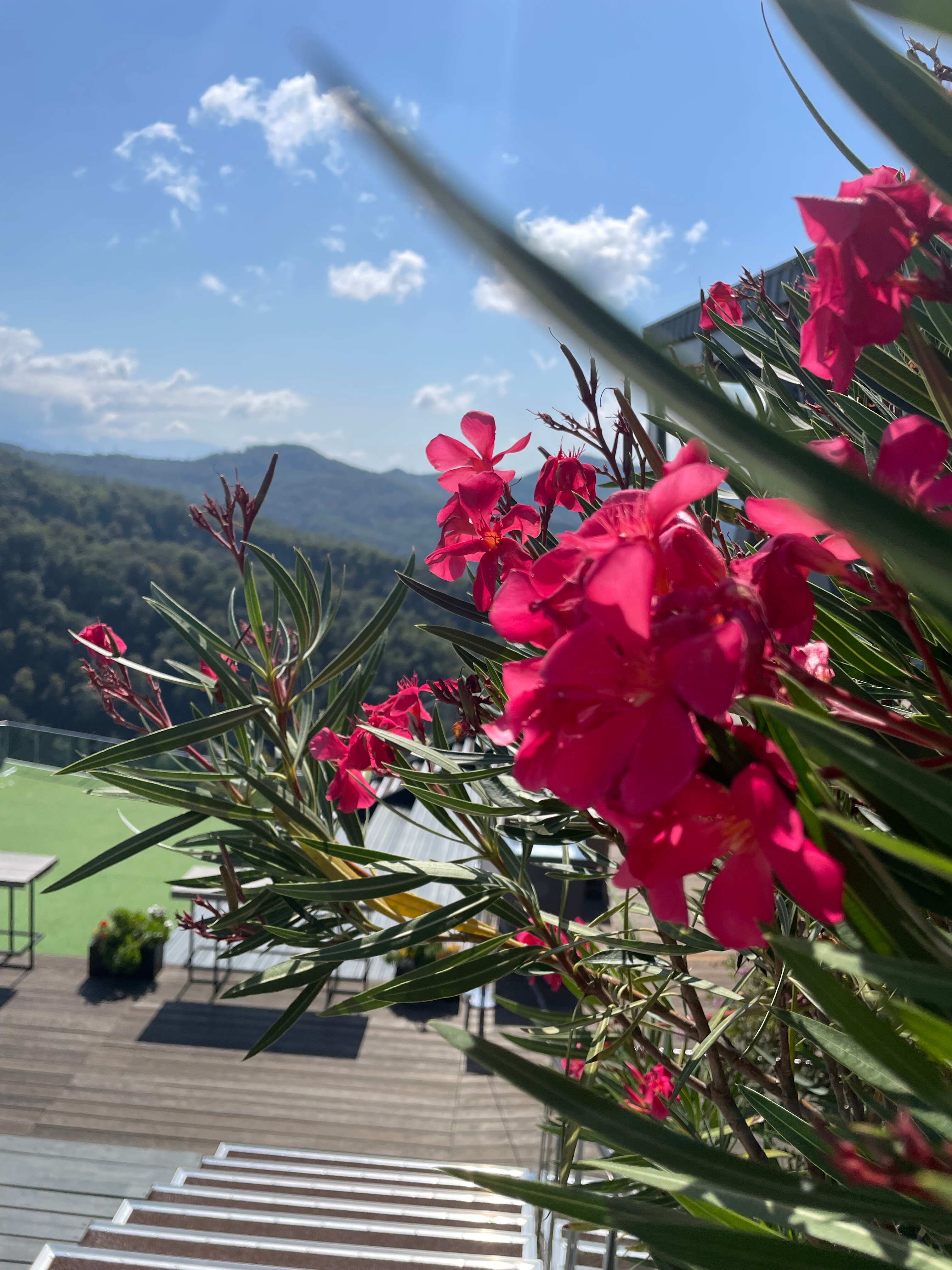 Фото Терминал Адлер