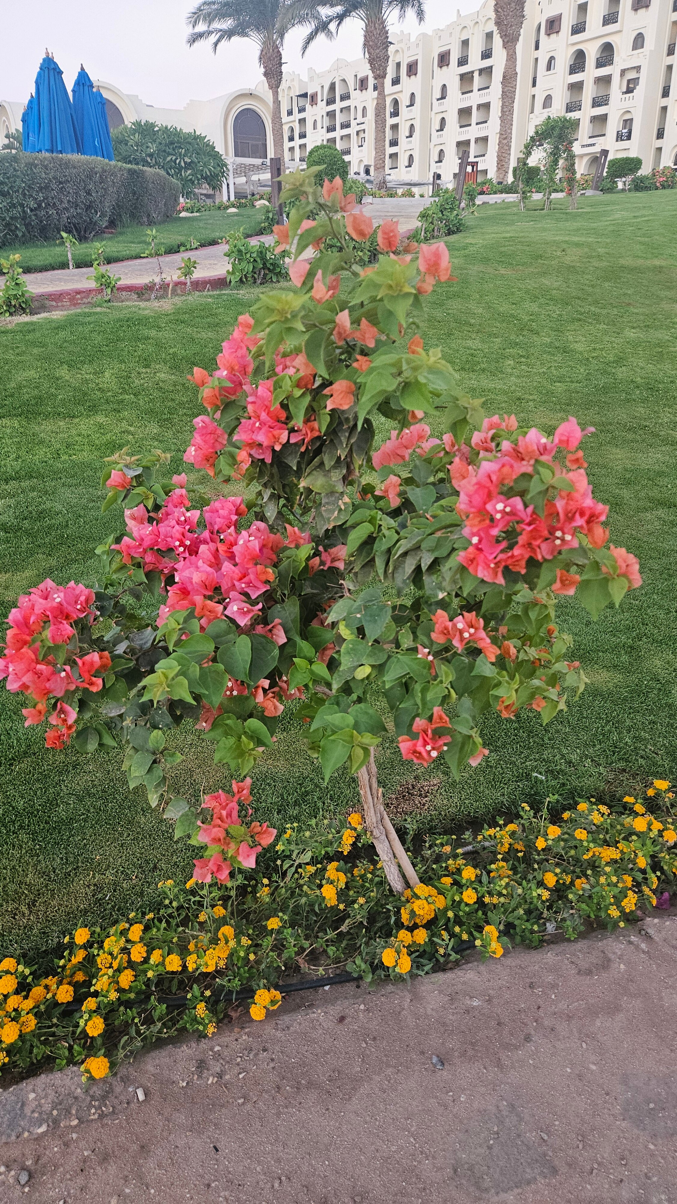 Фото Gravity Hotel & Aqua Park Sahl Hasheesh