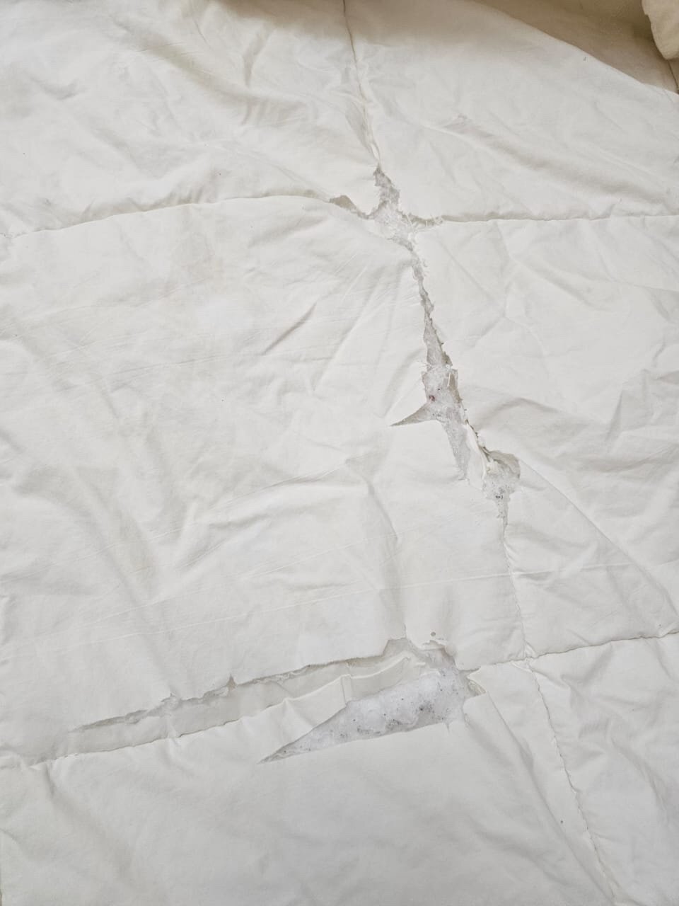 Фото Алтын Дала