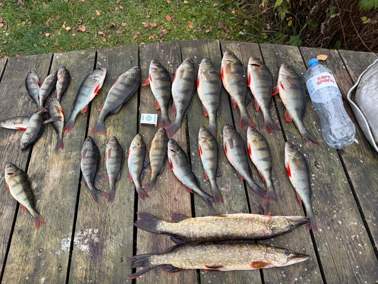 Фото Сеновал