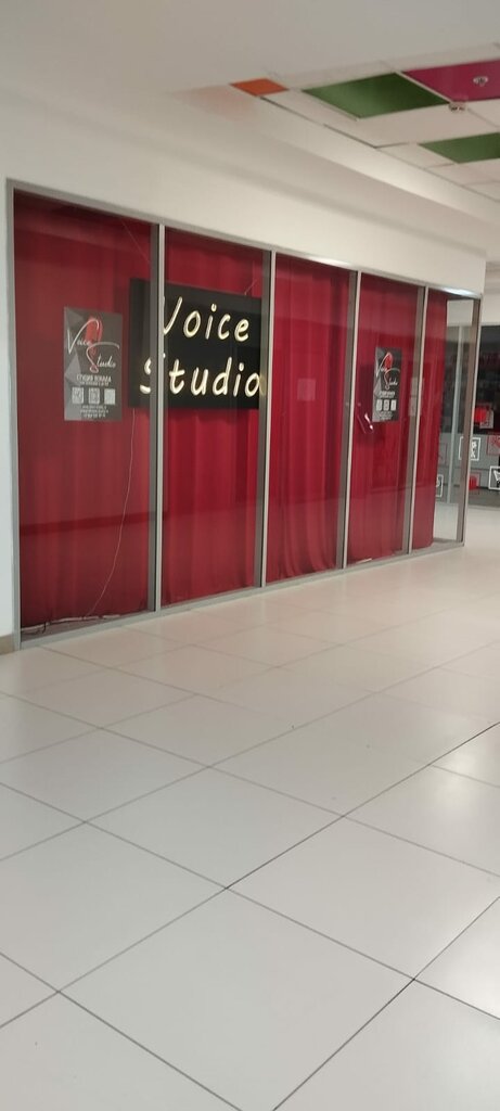 Music school Voice-studio, Moscow, photo