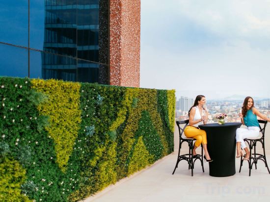 Фото Barceló México Reforma