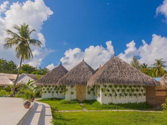 Фото Equator Village 