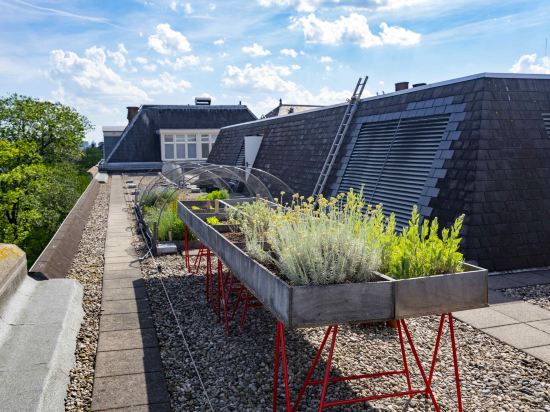 Фото Sofitel Legend The Grand