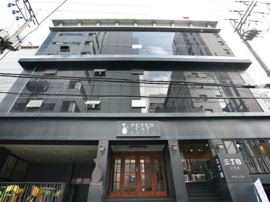 Фото Shinchon Peter Cat