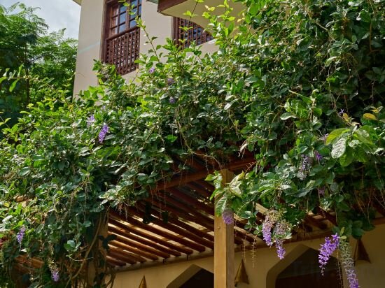 Фото Kendwa Rocks Beach Hotel