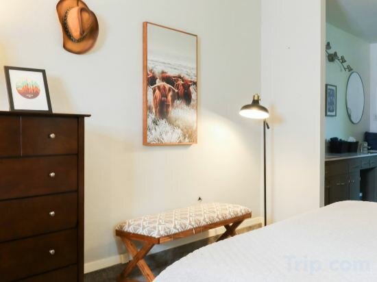 Hotel Cozy Backyard Patio and Fast Wi-Fi - Charming Peaceful Retreat, State of Texas, photo