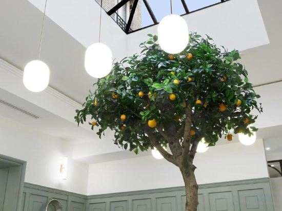 Фото Timhotel Palais Royal