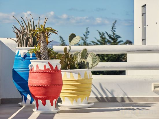 Фото 18 Grapes Hotel