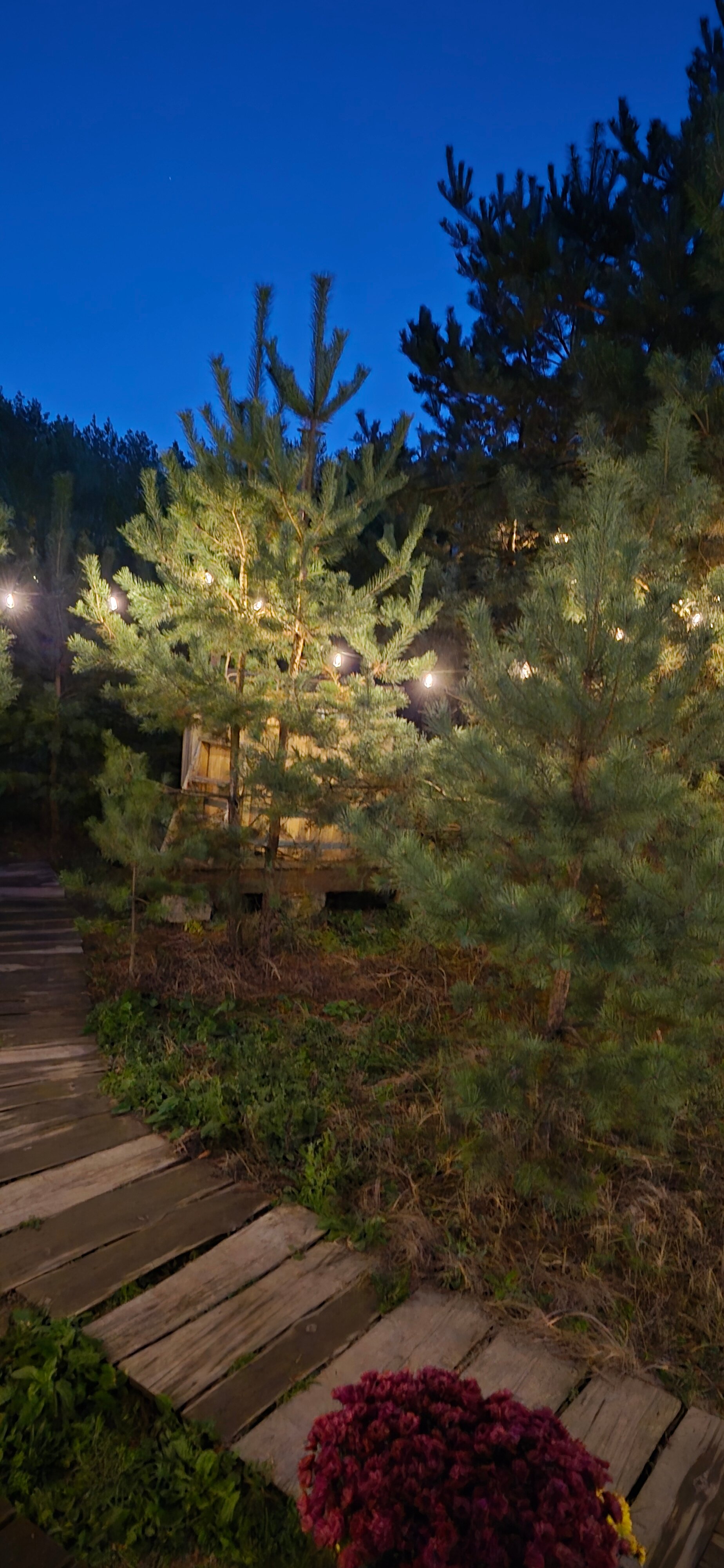 Фото Тишина