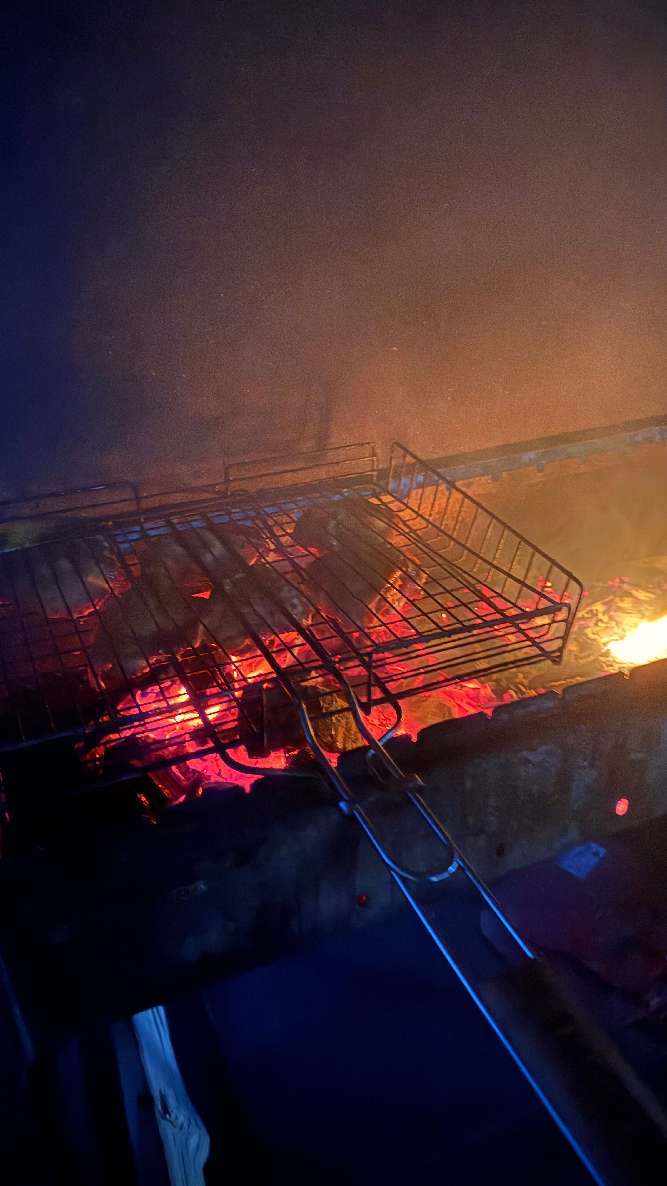 Фото Шелест