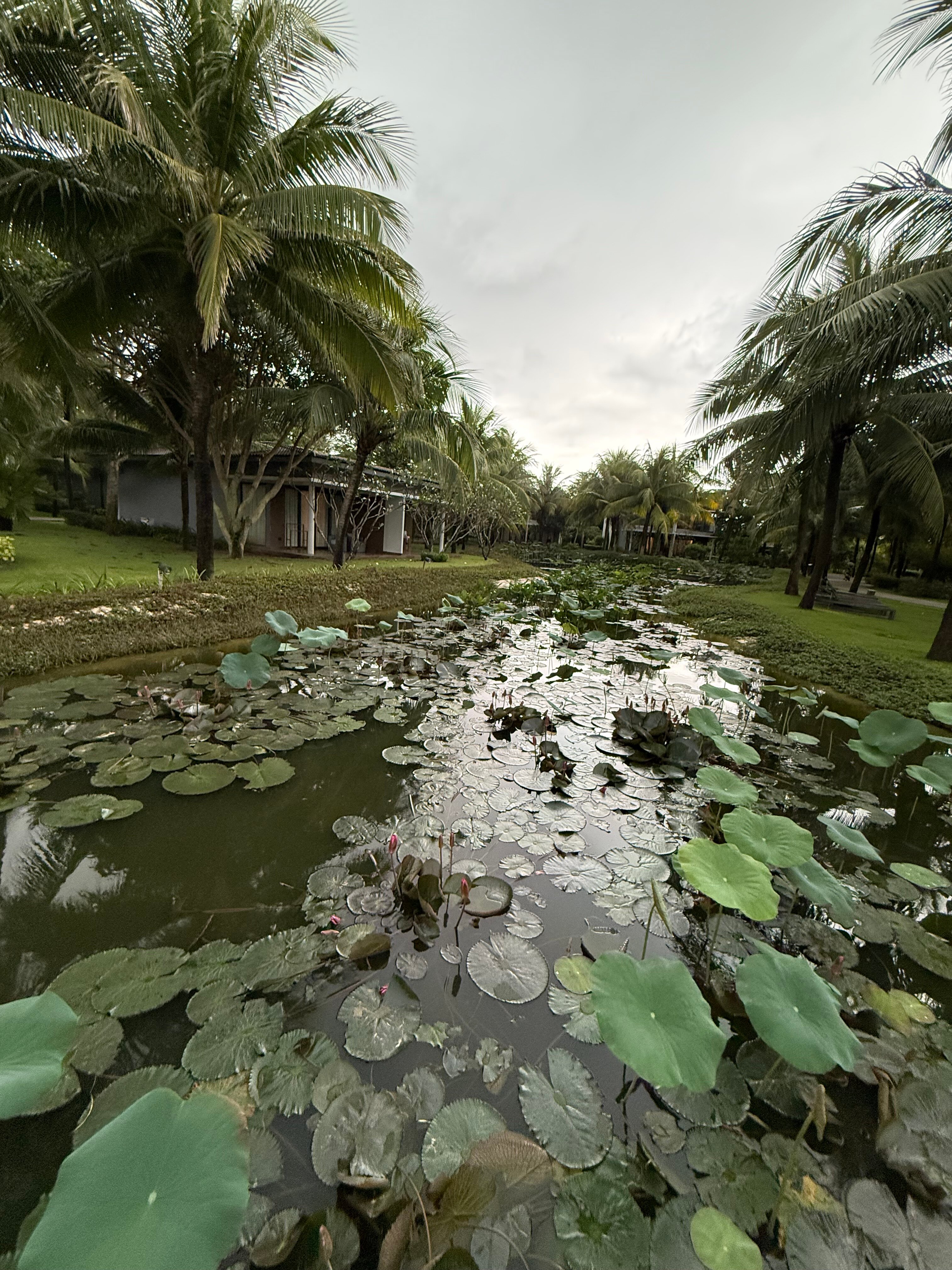 Фото Novotel Phu Quoc Resort