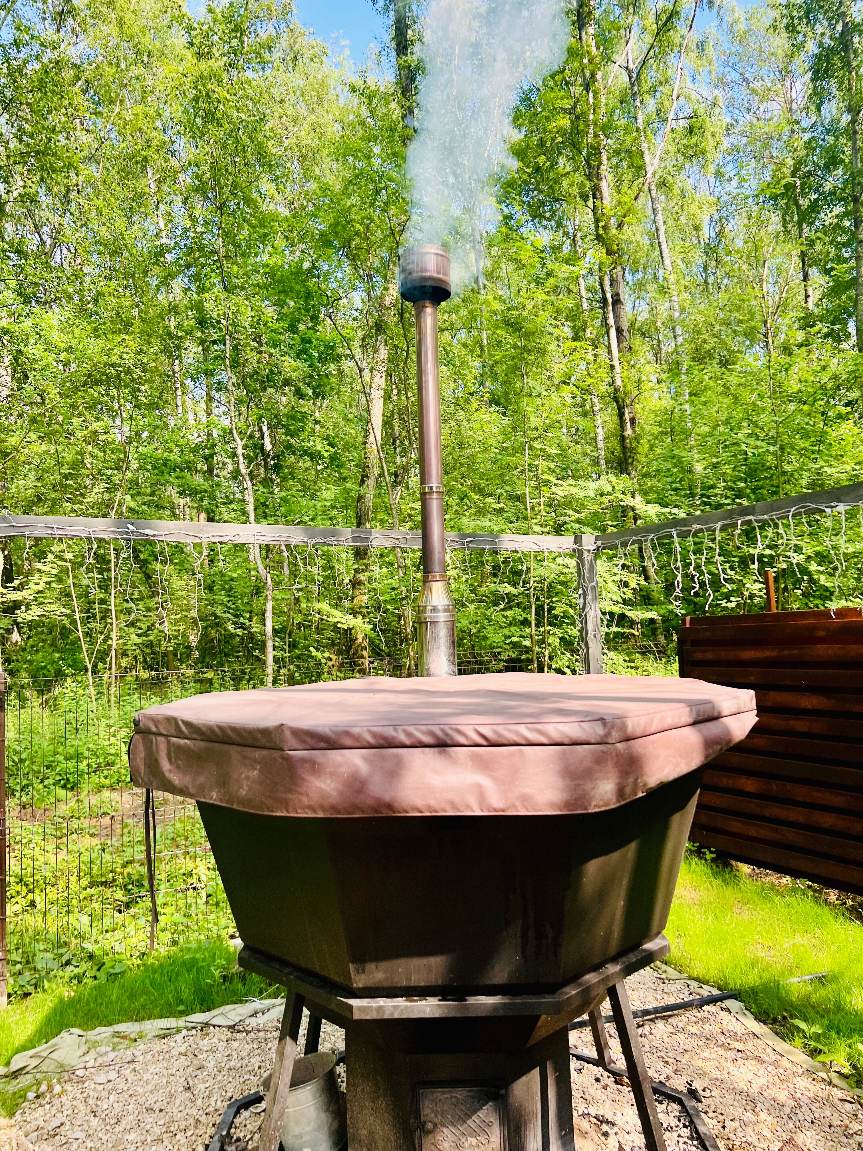 Фото Forest Glamp