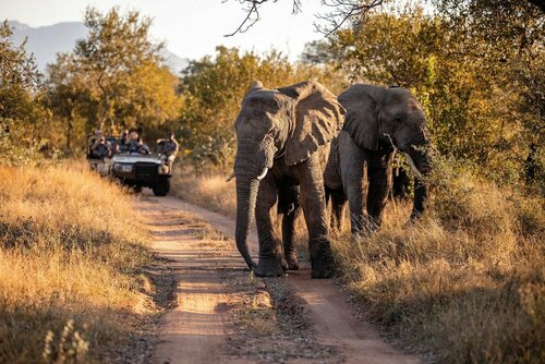Внешний вид отеля Kapama River Lodge в Муниципалитете Маруленге, фото 3