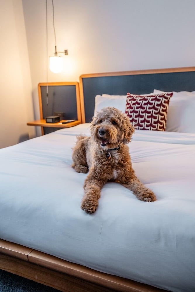 Фото Emery, Autograph Collection Hotel