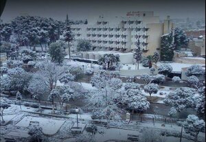 Гостиница Hôtel Chelia