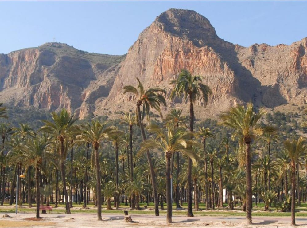 Фото Rey Teodomiro