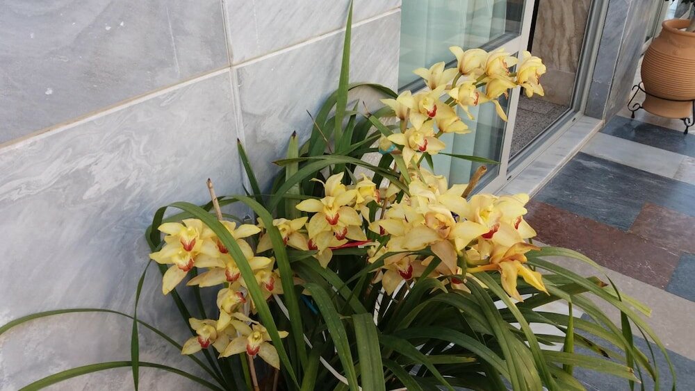 Фото Paritsa Hotel