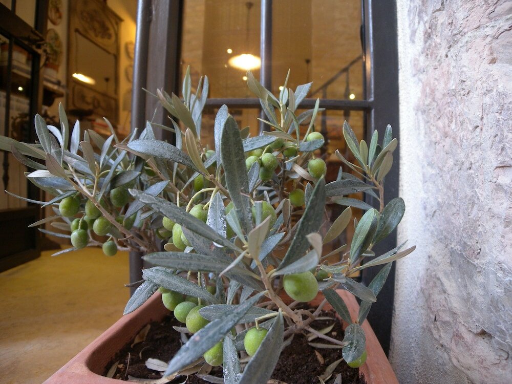 Фото B&b A Casa delle Fate