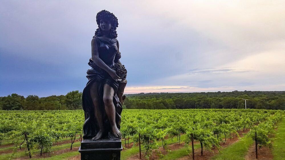 Фото Kiepersol Bed and Breakfast