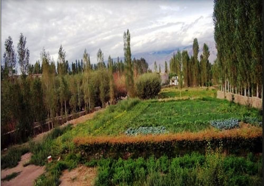 Фото Tih Hotel Ladakh Heaven