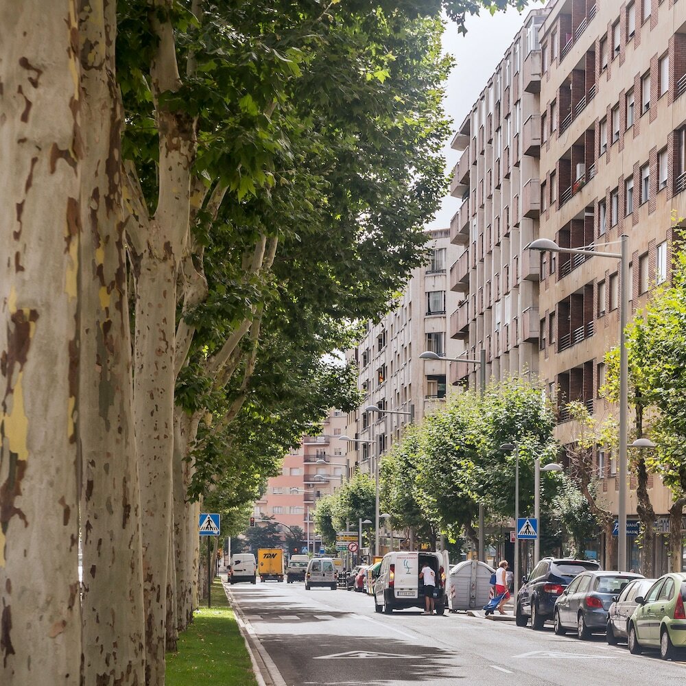 Фото Hotel Residencia Castellano I