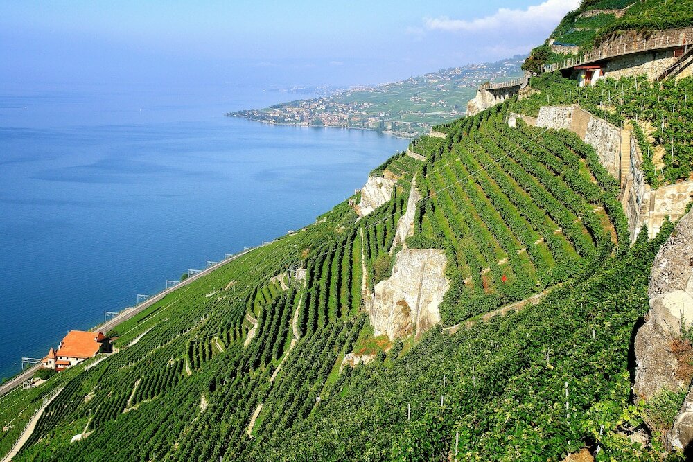 Фото Ibis Lausanne Centre