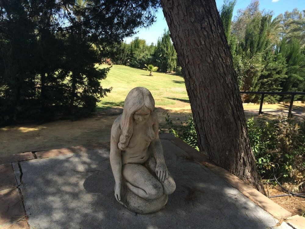 Фото Hacienda Los Jinetes