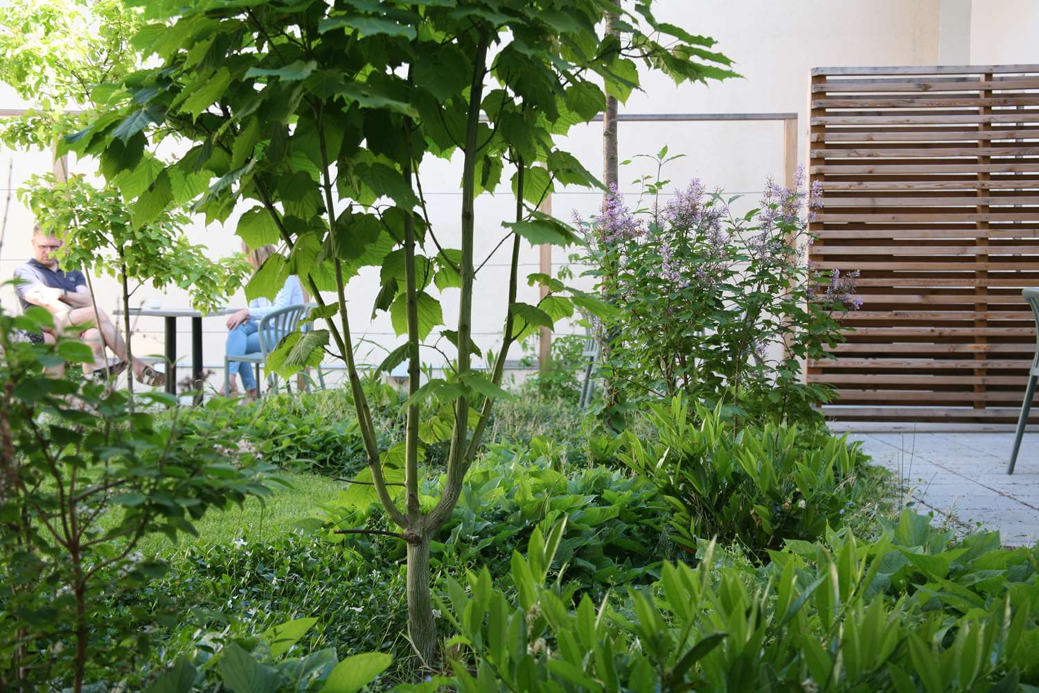 Фото Best Western Plus Hotell Nordic Lund