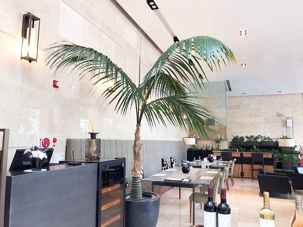 Фото Four Points by Sheraton Seoul, Guro