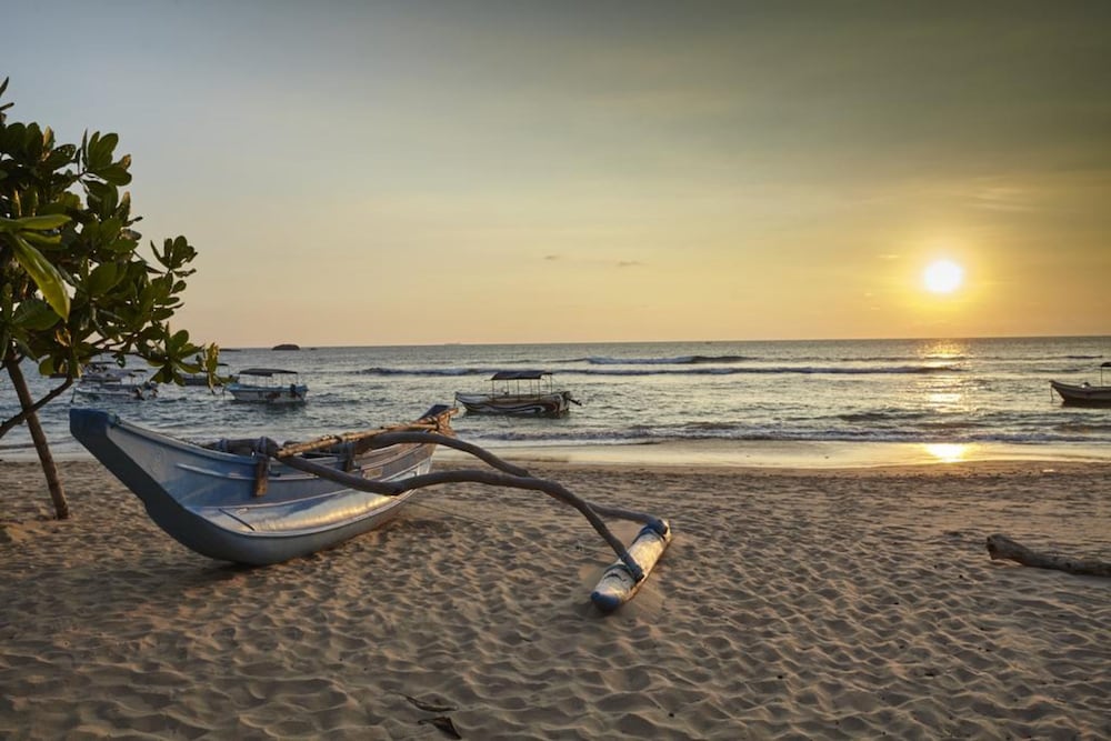 Фото Coral Sands Hotel