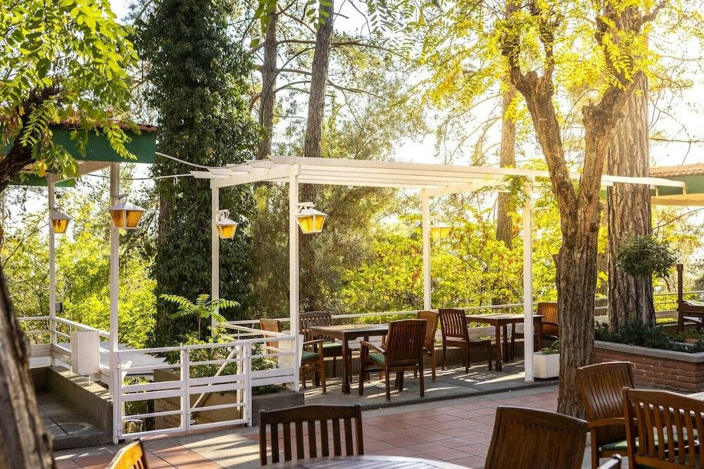 Фото Forest Park Hotel