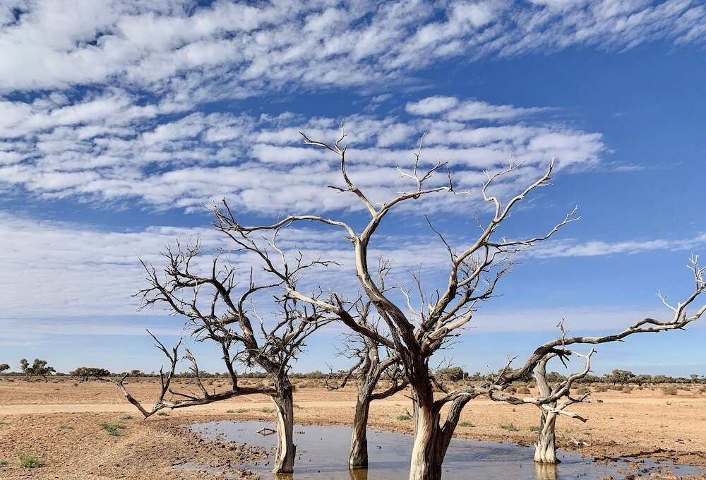 Фото Desert Cave Hotel