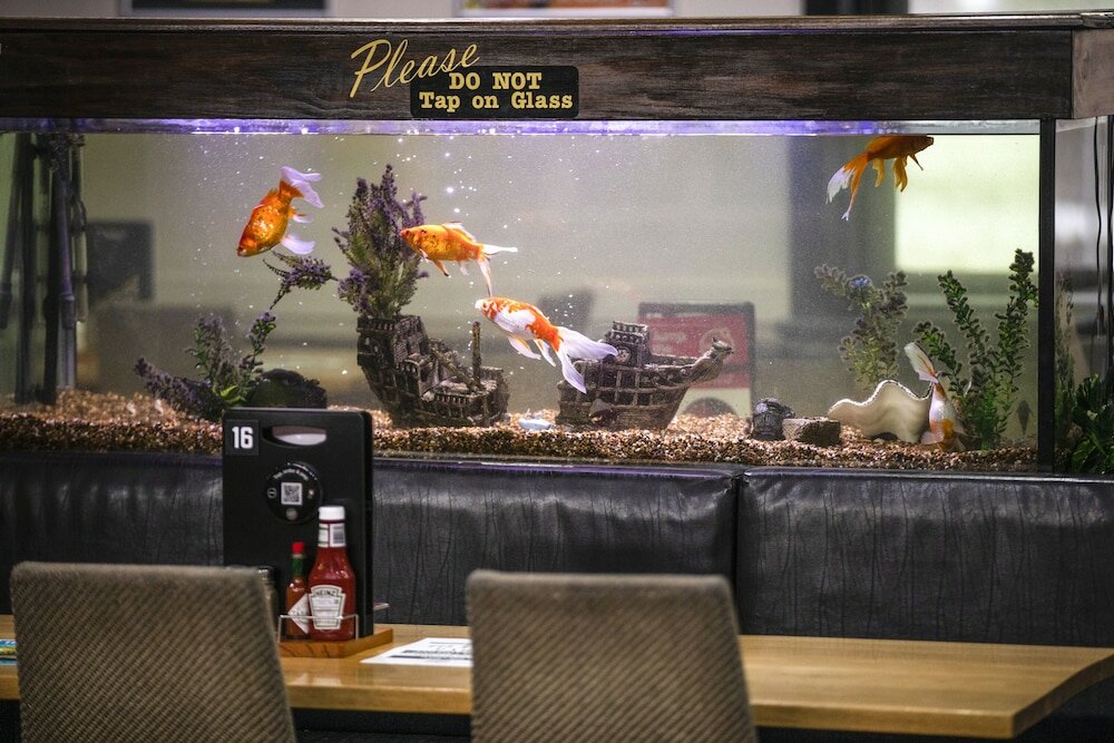 Фото Nightcap at Federal Hotel Mt Gambier