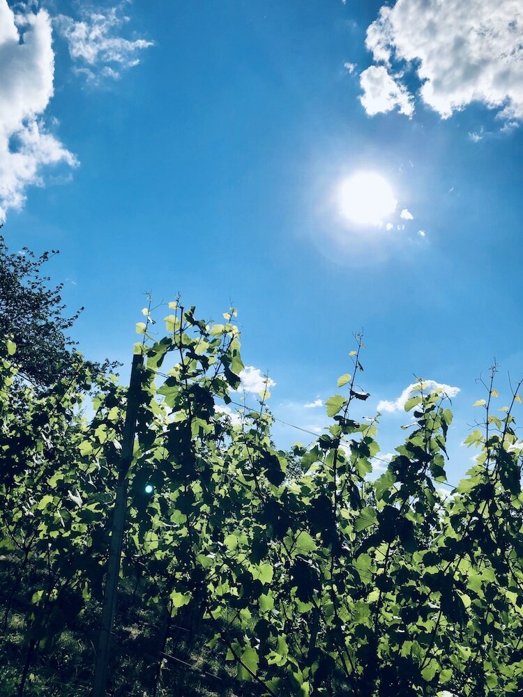 Фото Hotel Brita Stuttgart