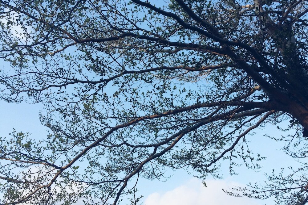 Фото Altrove House - Hostel