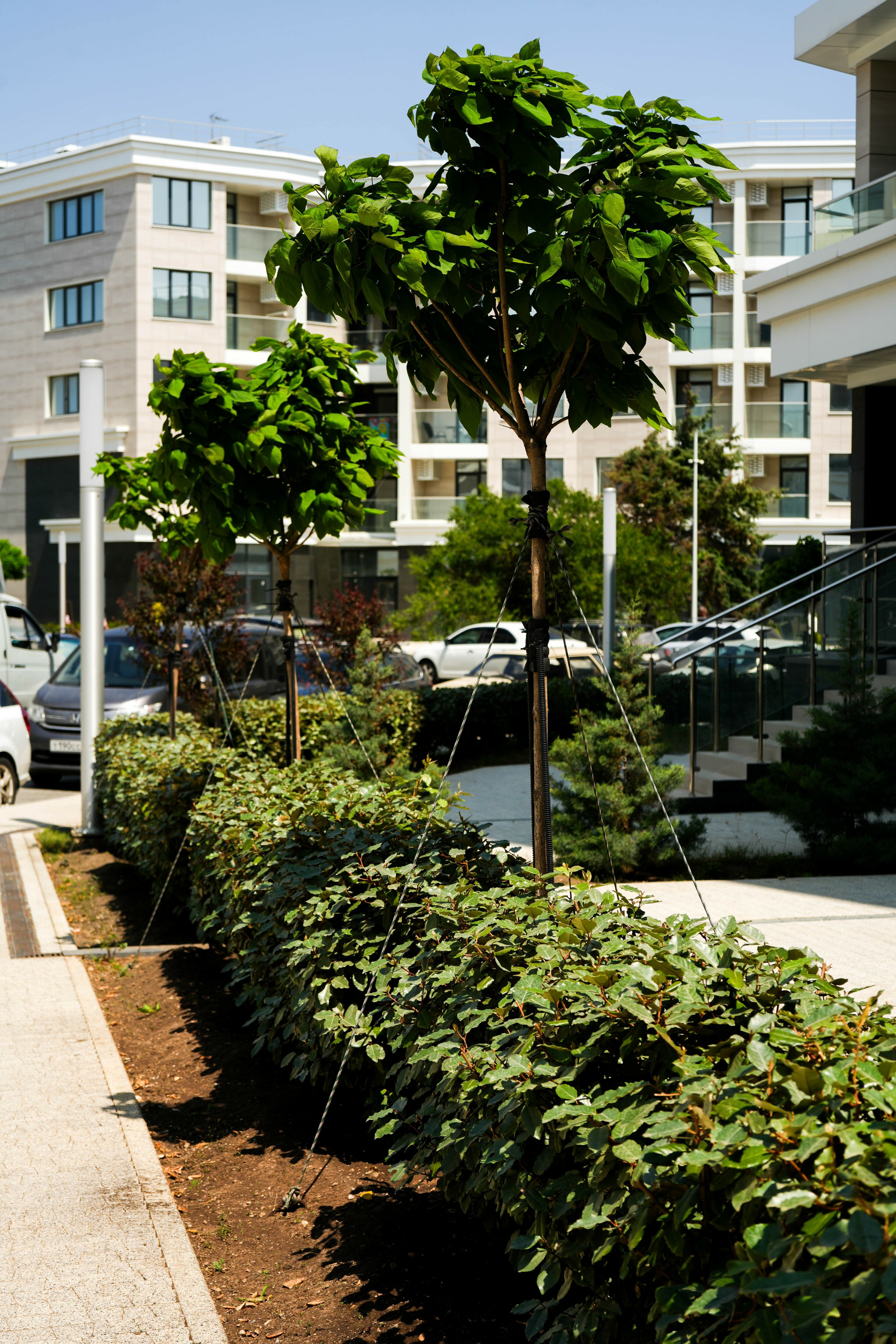 Фото Гарден